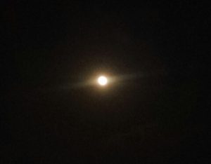 大阪　八尾　スーパーブラッドムーン