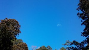 日牟禮八幡宮の空