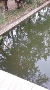 住吉大社　亀